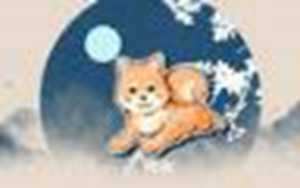 属狗的今年运气好吗(属狗的今年运气好吗请帮我看一下)