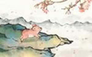 2022年属猪的运气如何(2022年属猪的运气如何)