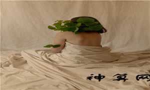 晚上做梦梦到火炮(晚上做梦梦到火炮什么意思)