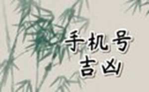 手机靓号吉祥号(手机靓号吉祥号测试)