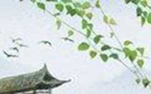 厕所门对灶头化解
