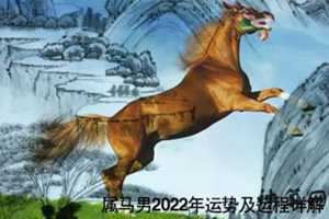 属马人2021年每月运势(属马人2021年每月运势运程)