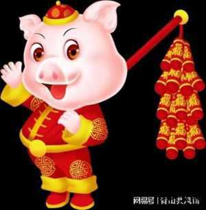 2022属猪的运势如何(2022年属猪的运势)