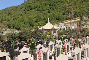 墓地哪个朝向最好风水好(墓地哪个朝向最好风水好)