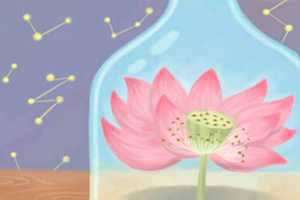 怎么样才能转运旺财-神算网(怎样才能转运旺运)