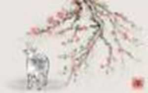 79年属羊的今年婚姻状况(79年属羊的今年婚姻状况2023年的运势)