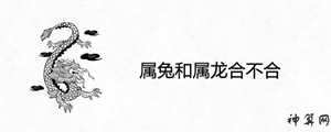 属兔的买房风水方向(属兔人买房风水学)