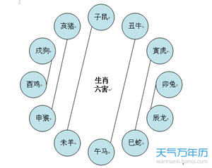 日历生肖相冲查询表(2022年生肖对冲日历表)