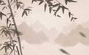 射手座有人追吗(射手座有人爱吗)