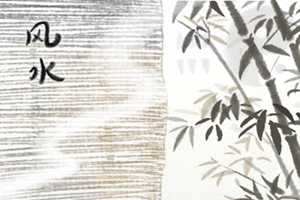 家里的财位放什么财运旺-神算网(家里的财位放什么好)