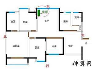 风水学怎么砸鱼缸(风水学怎么砸鱼缸视频)