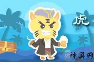 属虎养什么花风水好(属虎养什么花风水好呢)