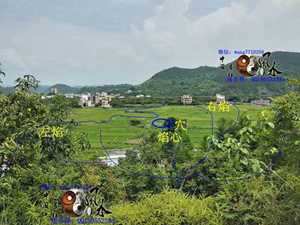 粤西风水佬(粤西风水大师)