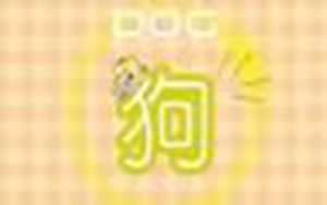 2006年属狗的男孩学什么专业(2006年属狗的能考上大学吗)