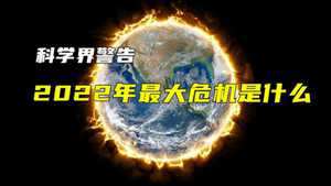 2022年是多少岁(1971年到2022年是多少岁)