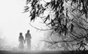 属狗的婚姻(属狗的婚姻什么时候到)