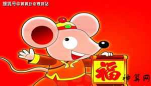 1996年属鼠的2020运势(96年的鼠过了26岁会越来越好)