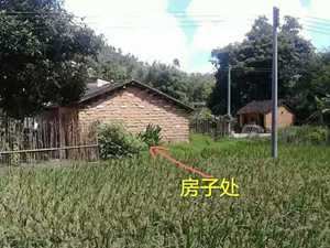 阳宅发富贵最快的风水特点(阳宅发财最快的风水预兆)
