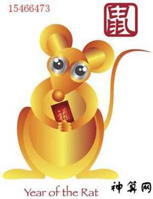 鼠2017的运势(鼠2017年运势)