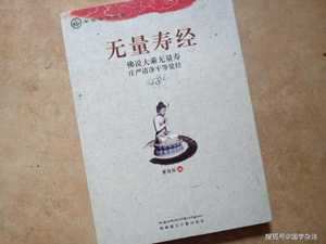 无量寿经经典语句(无量寿经经典句子)