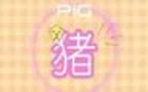 今天运气多好(今天运气多好绘本)
