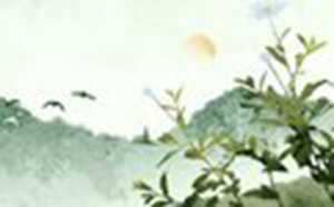 梦到很多蛇预示着什么周公解梦-神算网(梦见很多蛇寓意着什么)