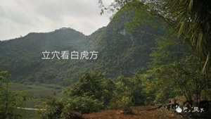 详解风水中的狮形地(详解风水中的狮形地煞)