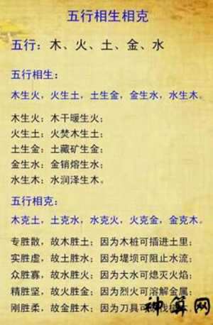 五行各代表什么运势(五行各代表什么运势和财运)