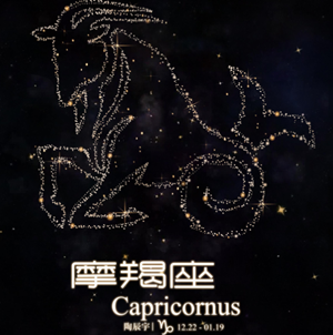 摩羯座这辈子最大的缺点是什么