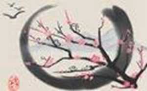 真正的南北通透户型图(十大最佳户型图)