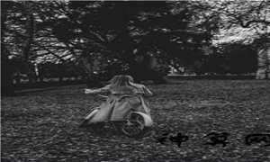 董公择日法(董公择日法)