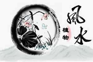 一进门见到什么植物好(一进门见到什么植物好)