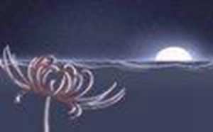 狮子座流星雨第一次爆发是哪一年