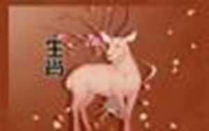 属羊人今日财运方位(属羊人今日财运方位打麻将)