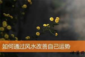 运势风水妙招(运势风水妙招有哪些)