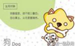 属狗的人属相婚配表(属狗的人属相婚配表图片)