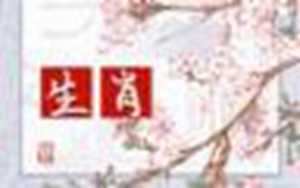 12生肖每日运势详解-神算网(12生肖每日运势每日查询)