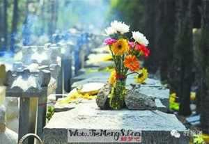 做梦梦到死了好多人是什么意思(做梦梦到死了好多人是什么意思啊)