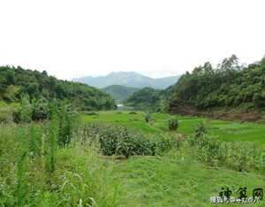 广西贵港坟墓风水宝地(广西贵港坟墓风水宝地在哪里)