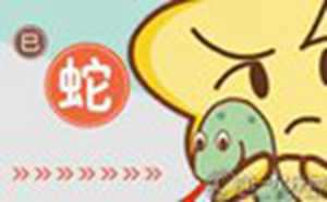 第一运程2019年属蛇人的全年运势-神算网(2019年属蛇的全年运势)