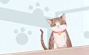 做梦梦到猫是什么意思周公解梦(做梦梦到猫是什么意思周公解梦猫哭了是啥意思)