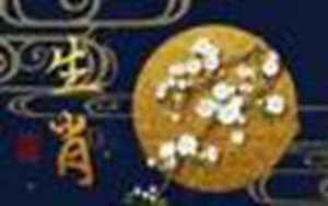 属鼠人明天财运好不好(属鼠明天的财运和运势)