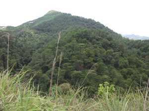 云浮风水宝地名山龙穴(云浮龙脉分布)