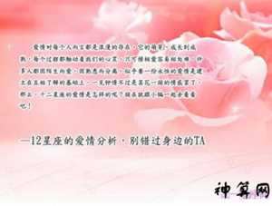射手座鸡2017爱情运势(射手座鸡2017爱情运势怎么样)