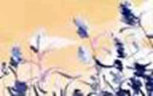 星座运势不可信(星座运势不可信怎么办)