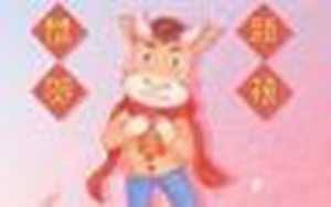 星座大全十二星座是农历还是阳历(星盘合盘看两人关系查询)