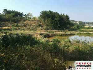 杨公风水古案例(杨公风水案例精选)