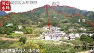 风水学中的虎(风水学中的虎地)