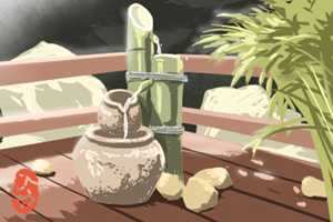 绿植聚宝盆的养殖方法(聚宝盆花是什么样子的)