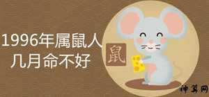 2017属鼠人96年运势女(96年属鼠2017年运势)